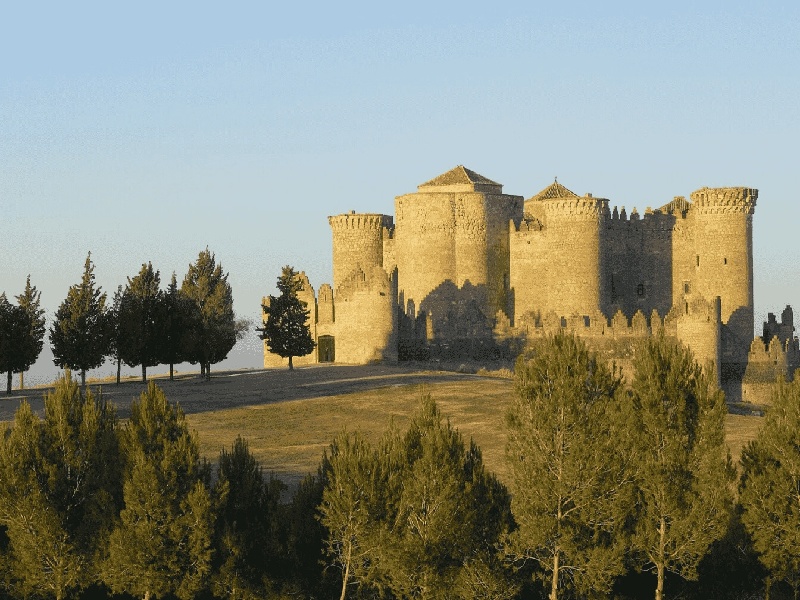 试管全套费用做试管需要排队试管囊胚成功反应